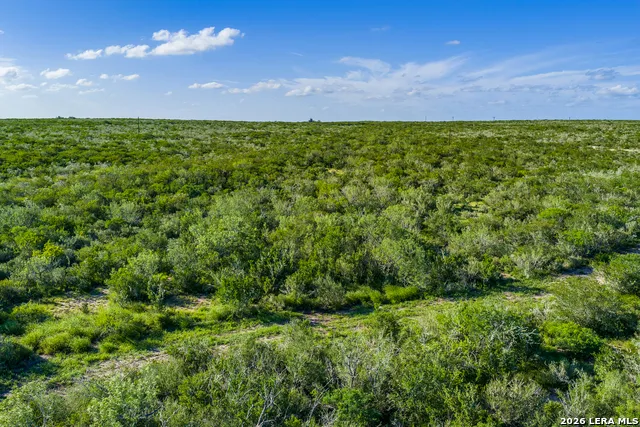 111 Los Lomas Ranch Road Freer, TX 78357