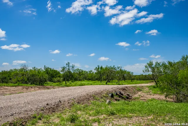 111 Los Lomas Ranch Road Freer, TX 78357