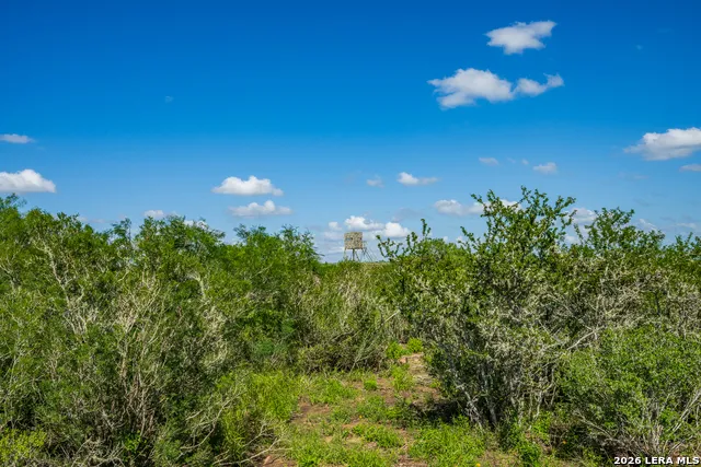 111 Los Lomas Ranch Road Freer, TX 78357