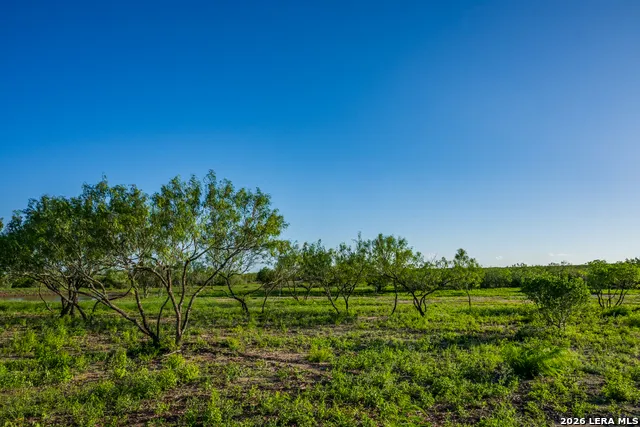 111 Los Lomas Ranch Road Freer, TX 78357