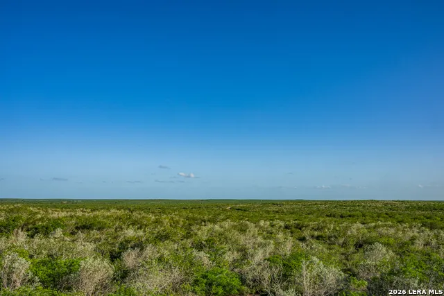 111 Los Lomas Ranch Road Freer, TX 78357