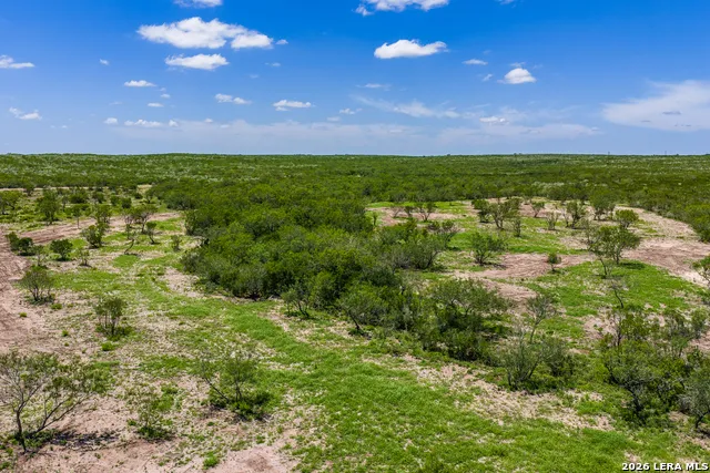 111 Los Lomas Ranch Road Freer, TX 78357