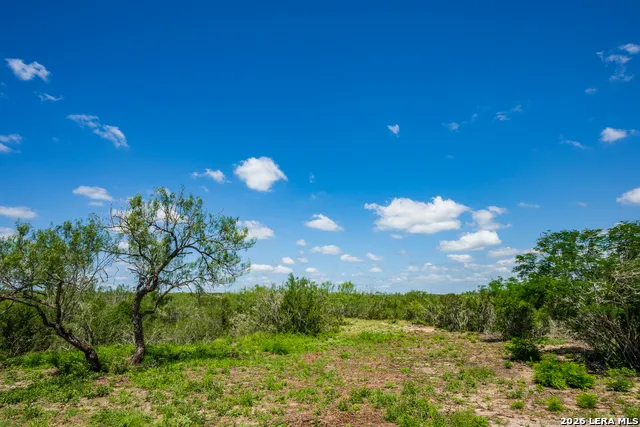 111 Los Lomas Ranch Road Freer, TX 78357