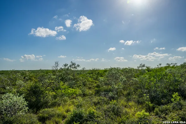 111 Los Lomas Ranch Road Freer, TX 78357