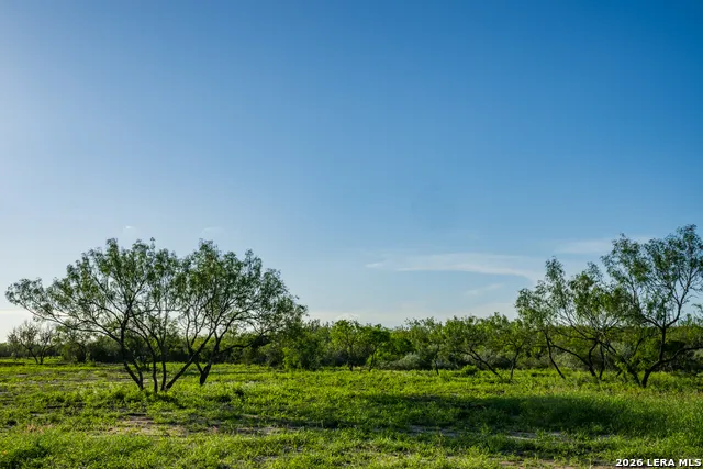 111 Los Lomas Ranch Road Freer, TX 78357