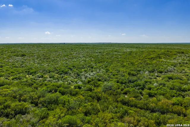 111 Los Lomas Ranch Road Freer, TX 78357