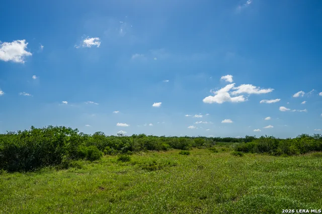 111 Los Lomas Ranch Road Freer, TX 78357