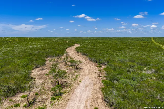111 Los Lomas Ranch Road Freer, TX 78357