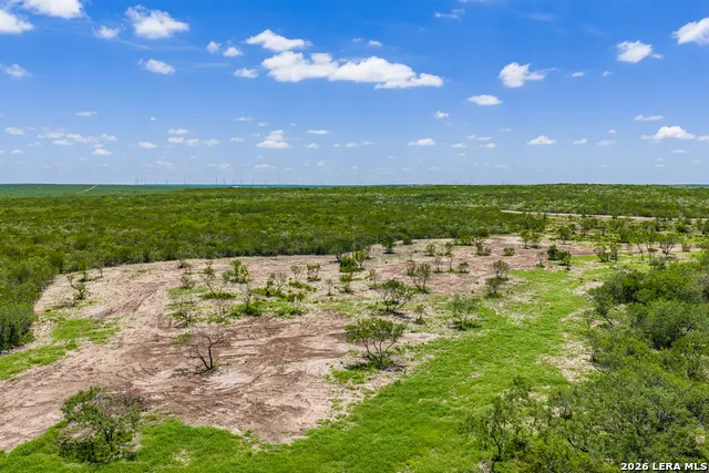 111 Los Lomas Ranch Road Freer, TX 78357