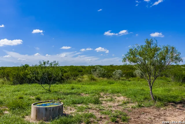 111 Los Lomas Ranch Road Freer, TX 78357