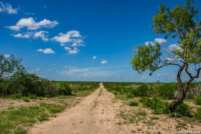 111 Los Lomas Ranch Road Freer, TX 78357