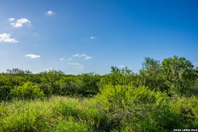 111 Los Lomas Ranch Road Freer, TX 78357