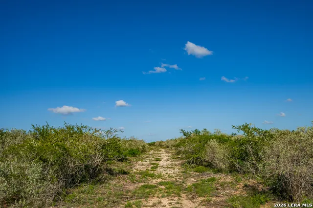 111 Los Lomas Ranch Road Freer, TX 78357