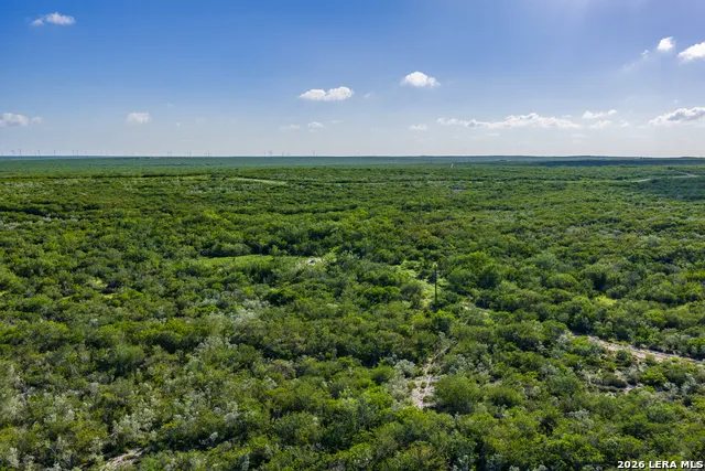 111 Los Lomas Ranch Road Freer, TX 78357