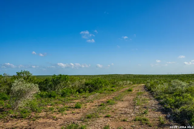 111 Los Lomas Ranch Road Freer, TX 78357