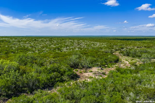 111 Los Lomas Ranch Road Freer, TX 78357