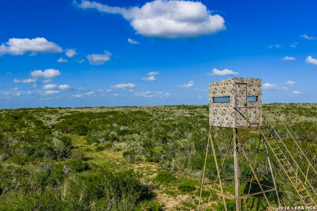 111 Los Lomas Ranch Road Freer, TX 78357