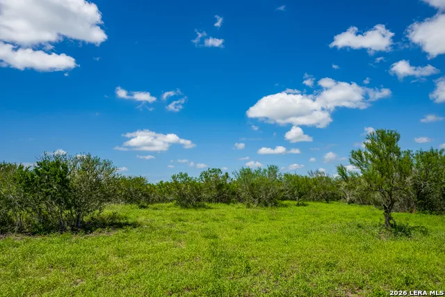111 Los Lomas Ranch Road Freer, TX 78357