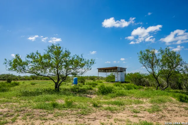 111 Los Lomas Ranch Road Freer, TX 78357