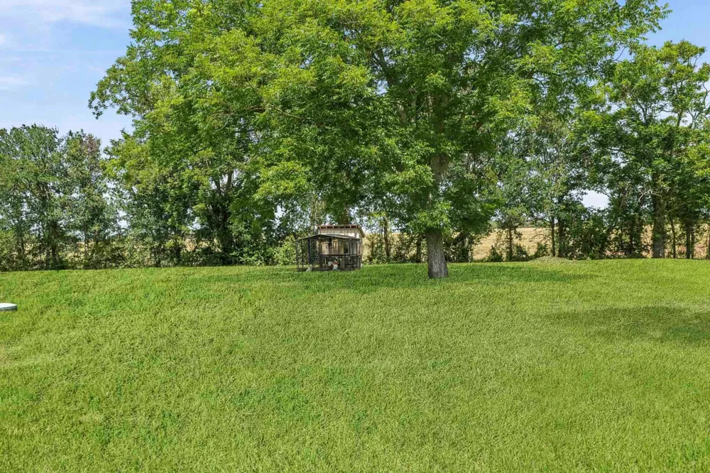 302 Country Road 893 Angleton, TX 77515