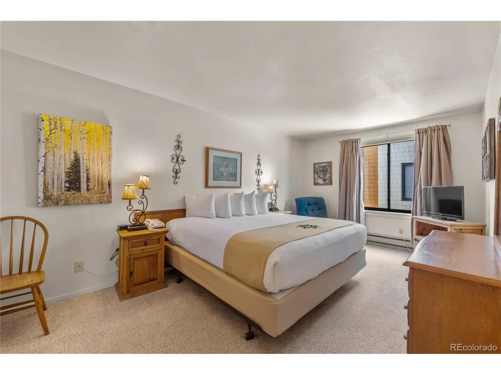 166 Argentine Court #A-1433 Dillon, CO 80435
