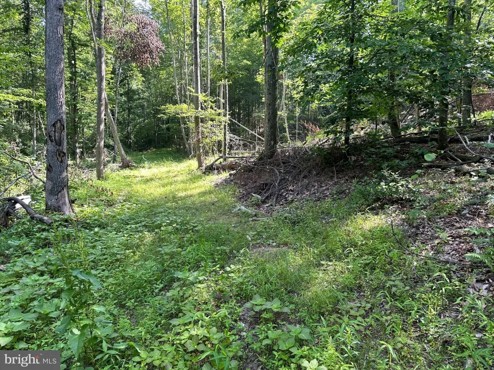 14110 INDIAN SPRINGS ROAD Clear Spring, MD 21722