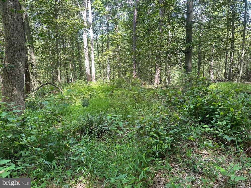14110 INDIAN SPRINGS ROAD Clear Spring, MD 21722