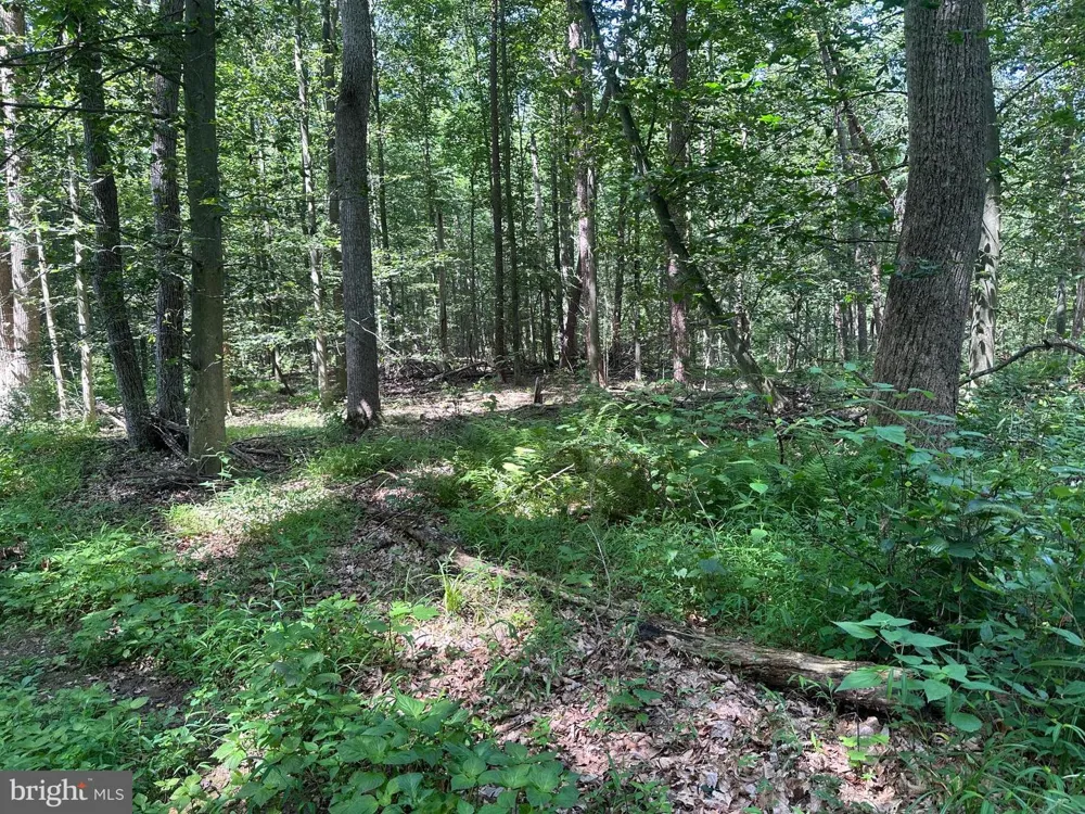 14110 INDIAN SPRINGS ROAD Clear Spring, MD 21722