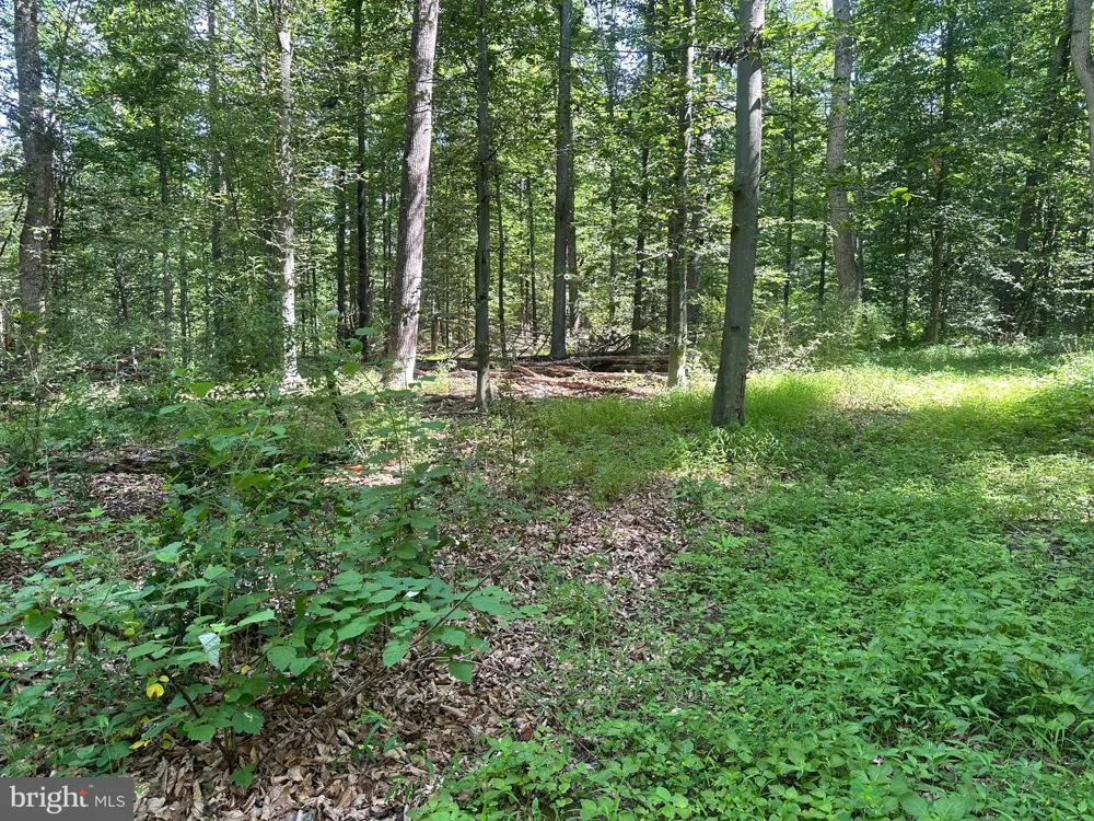 14110 INDIAN SPRINGS ROAD Clear Spring, MD 21722