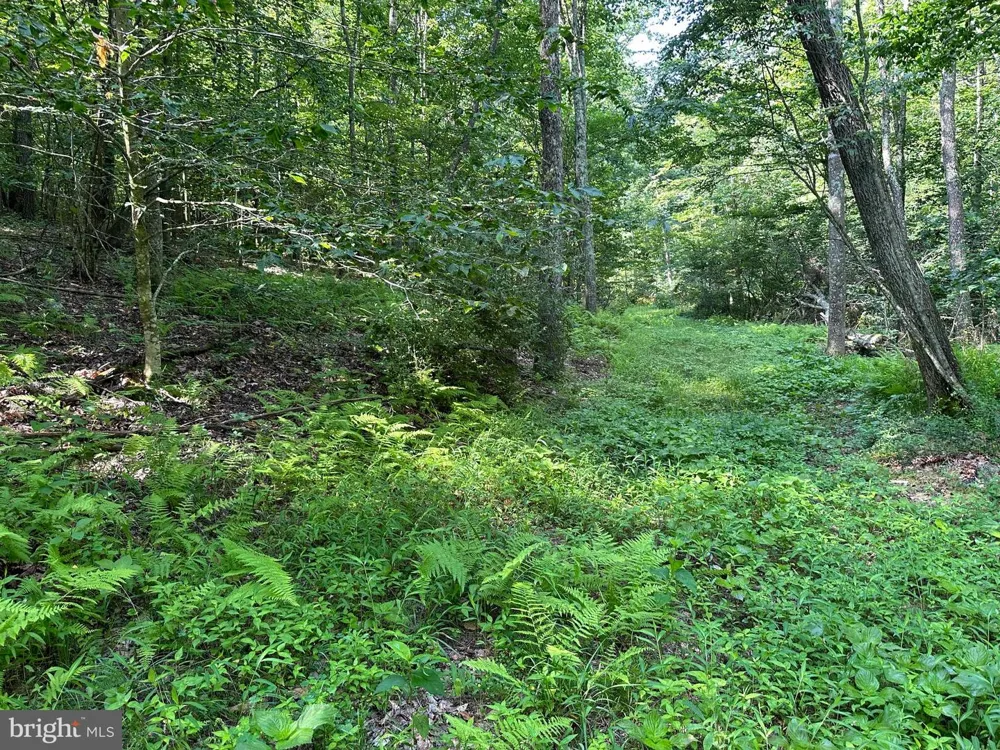 14110 INDIAN SPRINGS ROAD Clear Spring, MD 21722