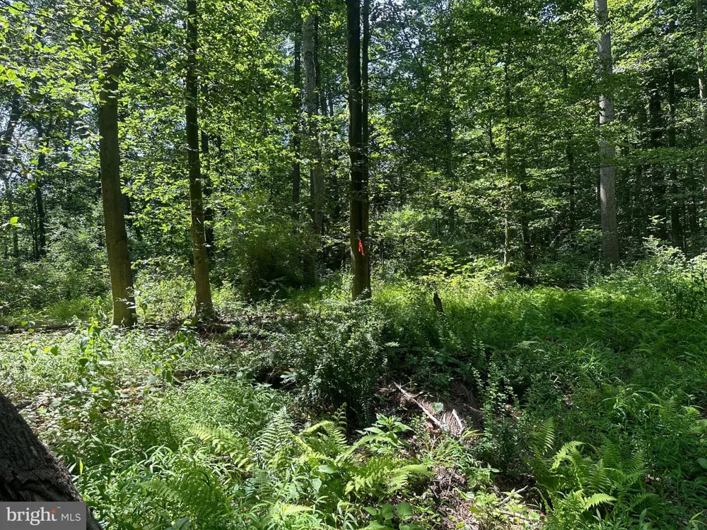 14110 INDIAN SPRINGS ROAD Clear Spring, MD 21722