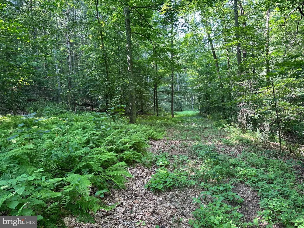 14110 INDIAN SPRINGS ROAD Clear Spring, MD 21722
