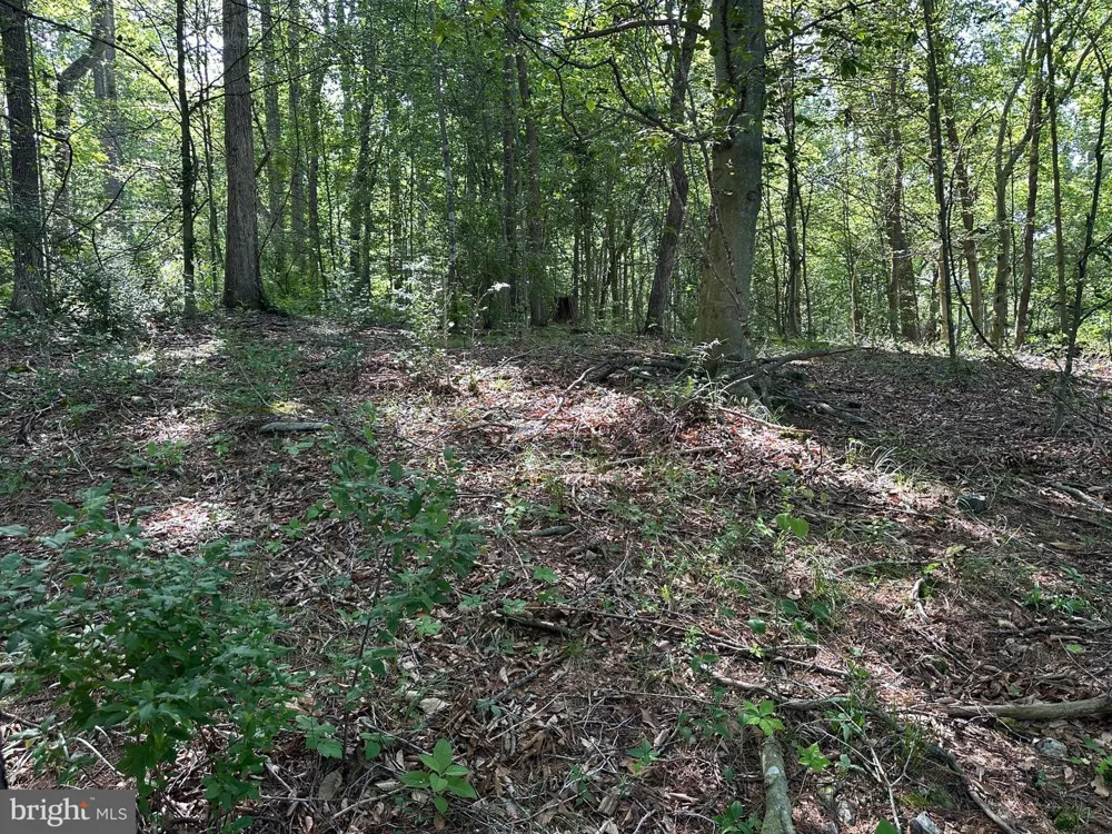 14110 INDIAN SPRINGS ROAD Clear Spring, MD 21722