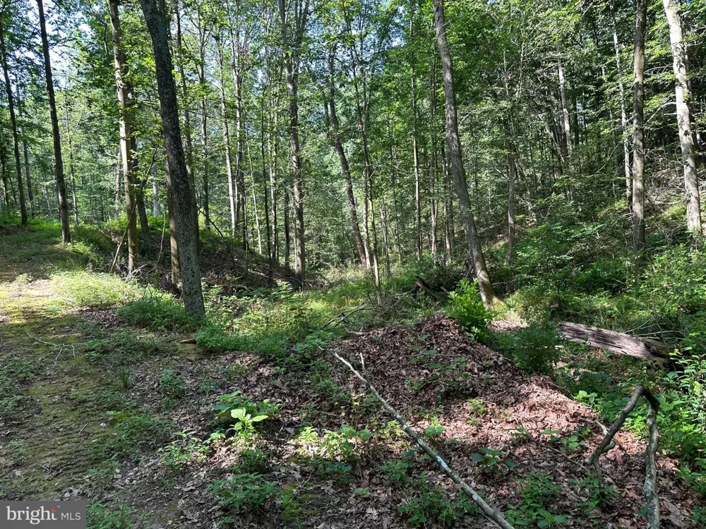 14110 INDIAN SPRINGS ROAD Clear Spring, MD 21722