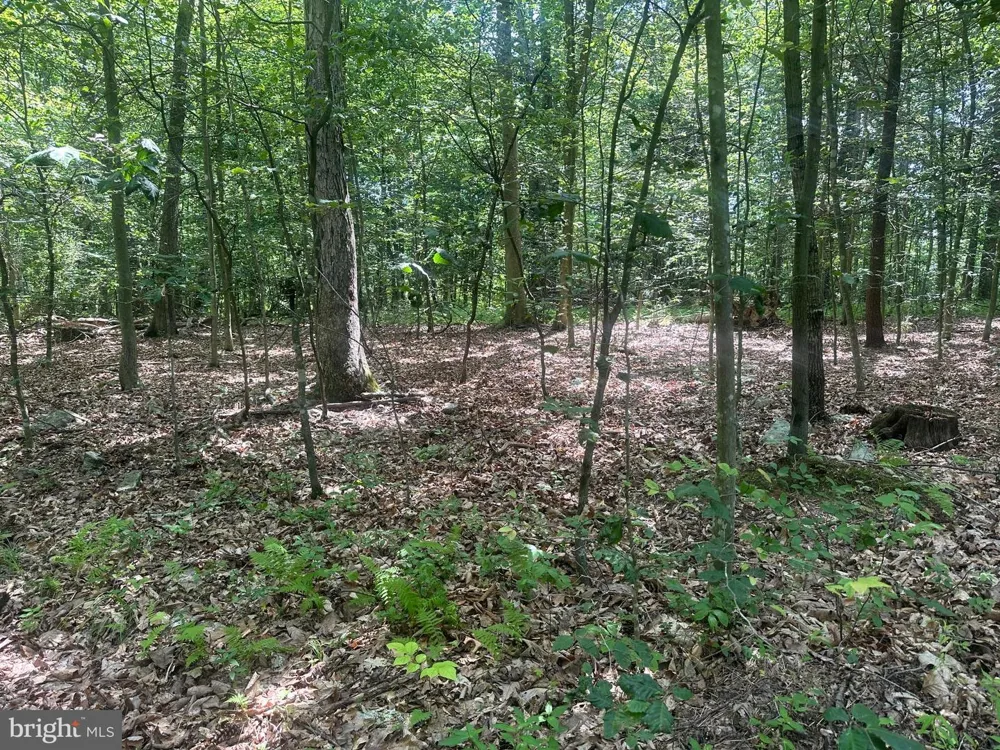 14110 INDIAN SPRINGS ROAD Clear Spring, MD 21722