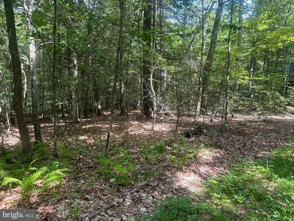 14110 INDIAN SPRINGS ROAD Clear Spring, MD 21722