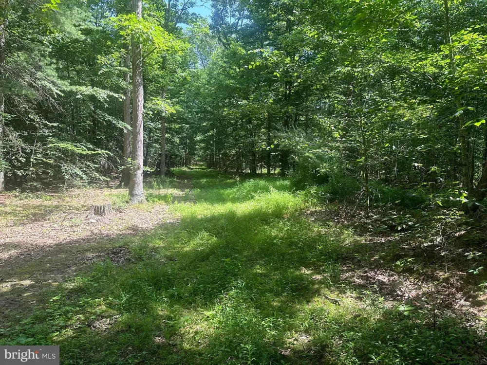 14110 INDIAN SPRINGS ROAD Clear Spring, MD 21722