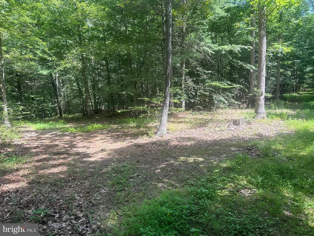 14110 INDIAN SPRINGS ROAD Clear Spring, MD 21722