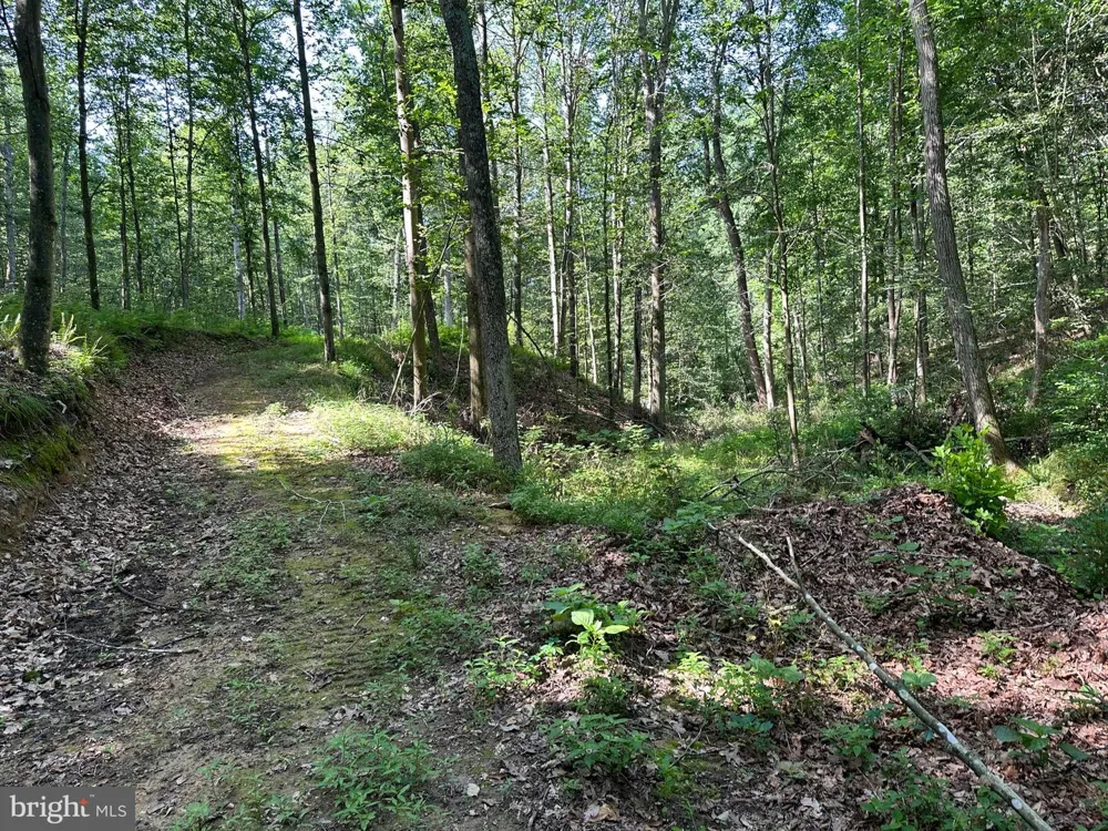 14110 INDIAN SPRINGS ROAD Clear Spring, MD 21722