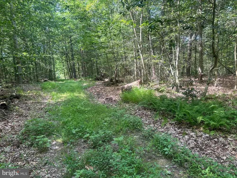 14110 INDIAN SPRINGS ROAD Clear Spring, MD 21722