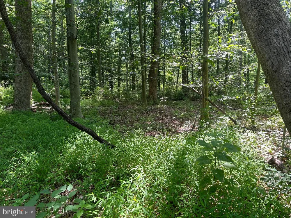 14110 INDIAN SPRINGS ROAD Clear Spring, MD 21722