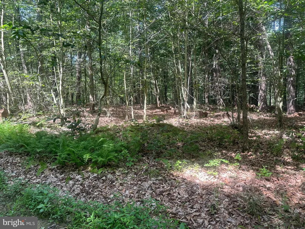 14110 INDIAN SPRINGS ROAD Clear Spring, MD 21722