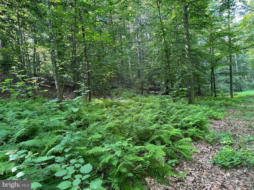 14110 INDIAN SPRINGS ROAD Clear Spring, MD 21722