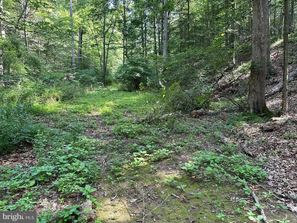 14110 INDIAN SPRINGS ROAD Clear Spring, MD 21722