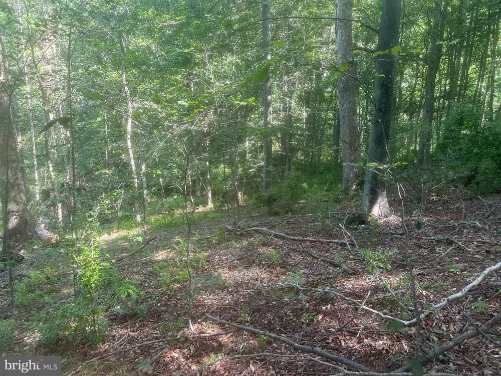 14110 INDIAN SPRINGS ROAD Clear Spring, MD 21722