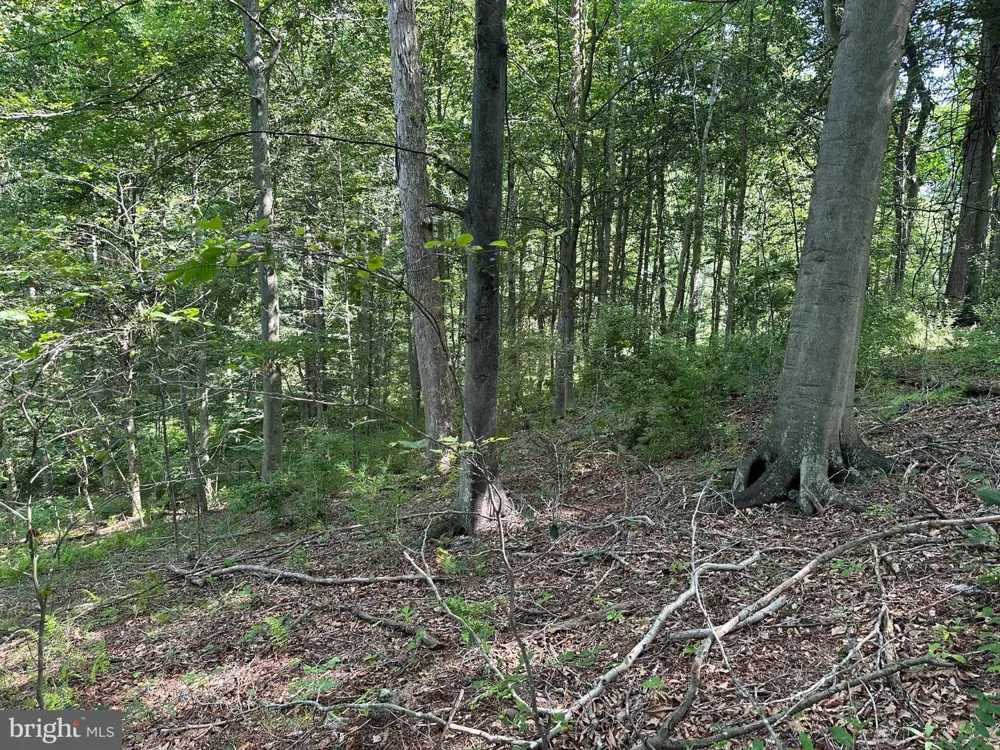 14110 INDIAN SPRINGS ROAD Clear Spring, MD 21722