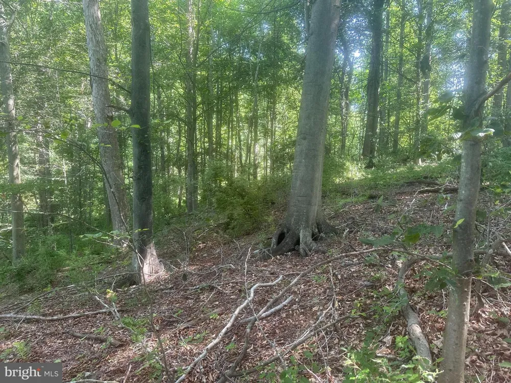 14110 INDIAN SPRINGS ROAD Clear Spring, MD 21722