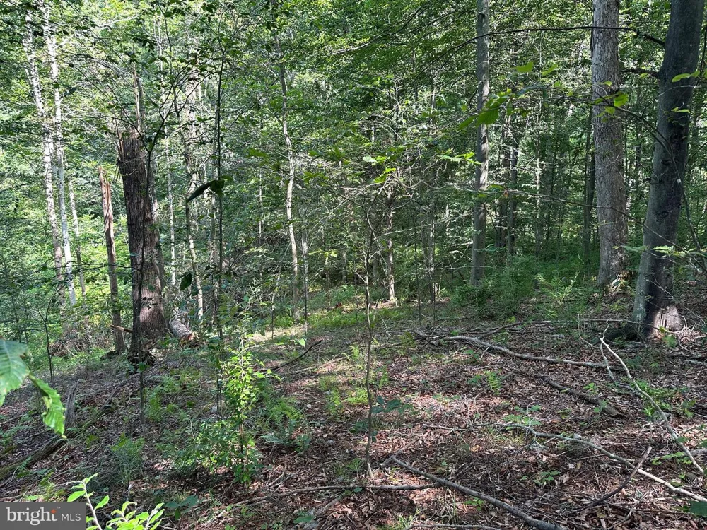 14110 INDIAN SPRINGS ROAD Clear Spring, MD 21722