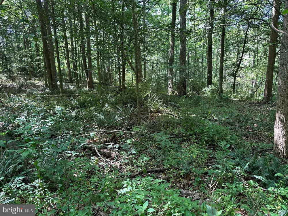 14110 INDIAN SPRINGS ROAD Clear Spring, MD 21722
