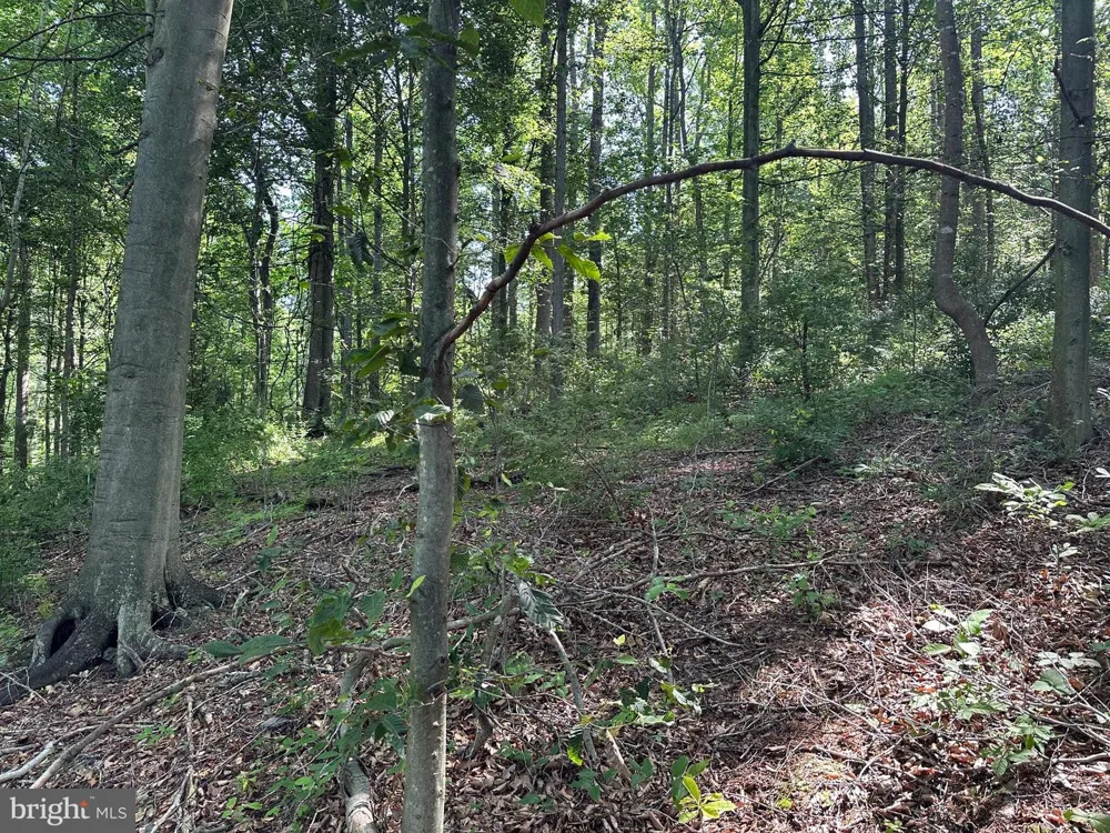 14110 INDIAN SPRINGS ROAD Clear Spring, MD 21722